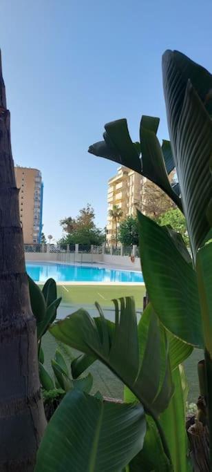 Elegante Alojamiento Con Piscina A 200 M Del Mar. Apartment Benalmadena Ngoại thất bức ảnh